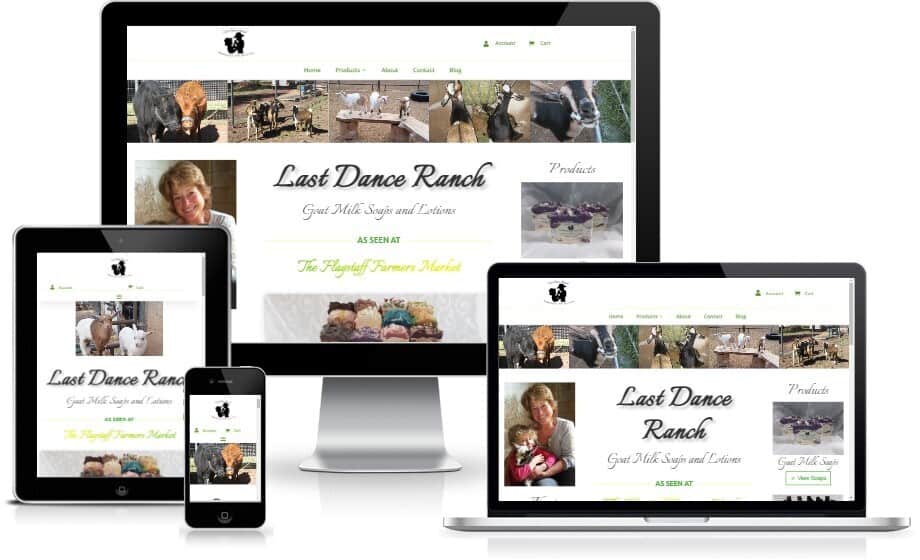 Last dance ranch website design with a focus on web design and SEO.