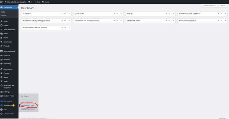 Divi Machine Add Edit Custom Post Types